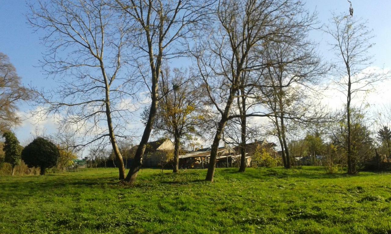 Bochmann Cottage Zalaszanto Exterior foto